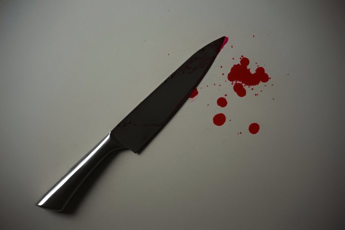 2f7d70a0-f808-49f8-8f8c-df2454592de6