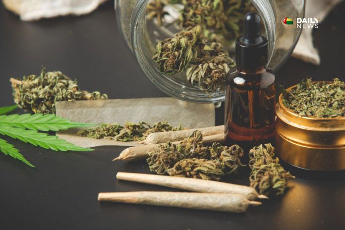 saisie cannabis Kloto 1