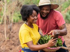 Inades-Formation Togo : appel d’offres ouvert pour la fourniture de matériels et équipements agricoles répartis en 8 lots